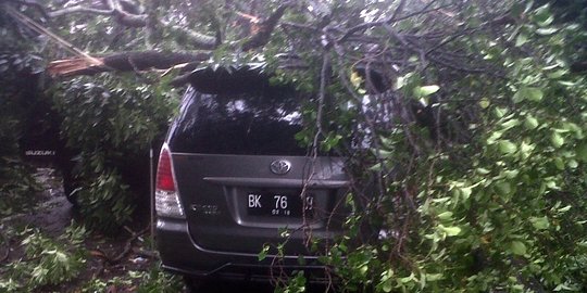 Di Medan, pohon besar tumbang timpa dua mobil