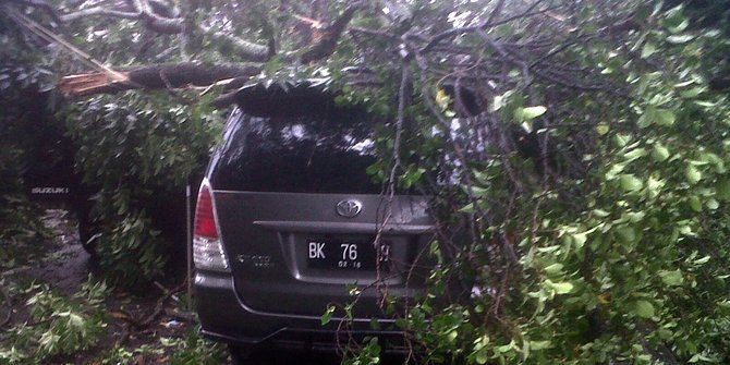 Di Medan, pohon besar tumbang timpa dua mobil