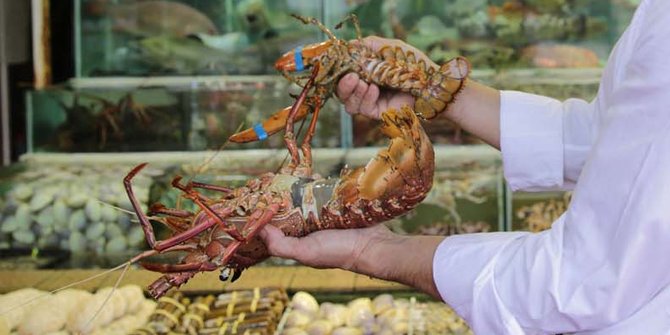 Kegemaran santap seafood ancam ekosistem laut