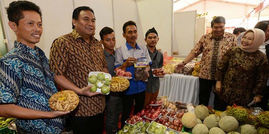 Polemik daging sapi bikin posisi Mendag terdesak