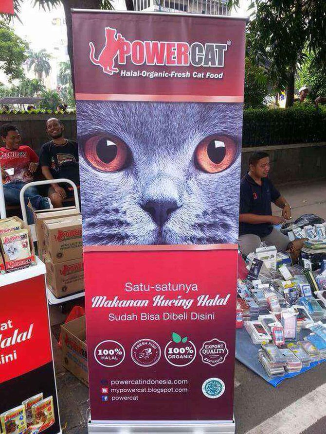 Kini Makanan Kucing Juga Mendapatkan Sertifikasi Halal Oleh Mui