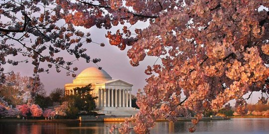 dc tidak bisa lagi ditinggali