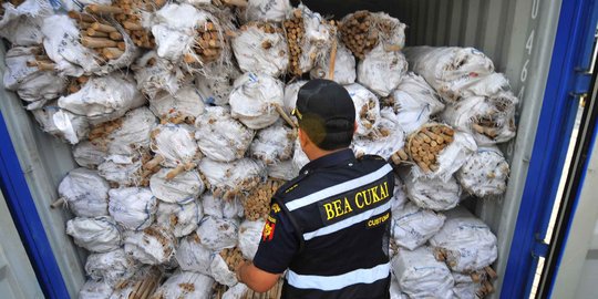 Bea Cukai gagalkan ekspor ilegal senilai Rp 39,2 miliar