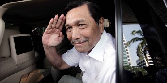 Luhut: Satu ketua satu tim, tidak boleh ngomong seenaknya