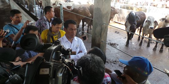 Mentan ancam cabut izin perusahaan penimbun ribuan sapi di Tangerang