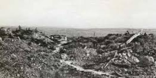 messines rev6