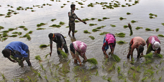 25 ribu petani India ingin gantung diri pada Hari Kemerdekaan