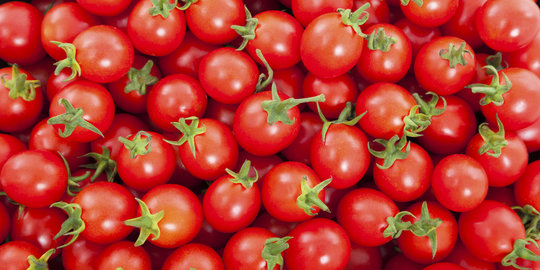 Tiap tahun, produksi tomat surplus hingga 400 ribu ton