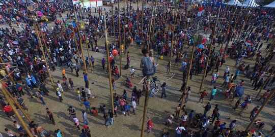 Meriahnya lomba panjat ratusan pohon pinang di Ancol