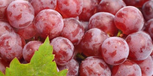 agar cepat pulih dari sakit, konsumsi 6 buah ini!
