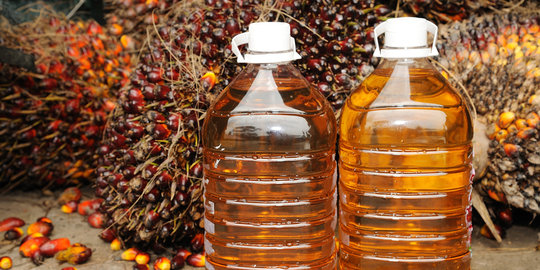 Pemerintah resmi salurkan dana untuk program biodiesel 15 persen