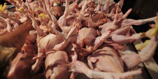 Pembelaan Kementerian Perdagangan saat harga ayam melonjak drastis