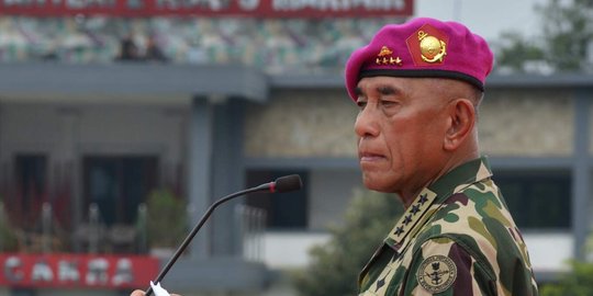 Menhan: Presiden 2 kali ke Papua, Gubernur & wakilnya tak pernah ada