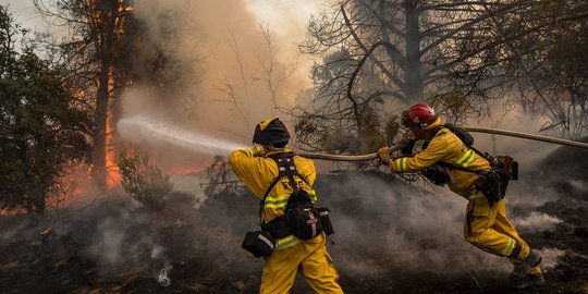 Kebakaran hebat di AS, hanguskan 2,9 juta hektar hutan