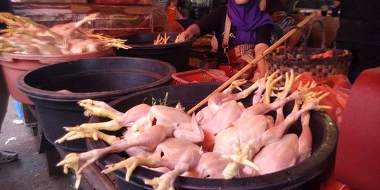 Harga daging ayam meroket, pedagang di Tangerang merugi