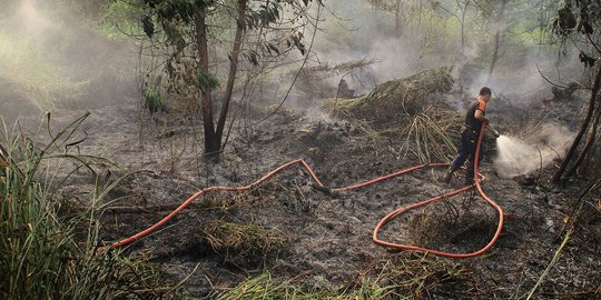 PT LIH dan 27 warga jadi tersangka pembakar lahan di Pelalawan