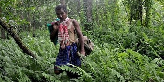 Seorang diri, pria India ini hijaukan kembali 550 hektare hutan