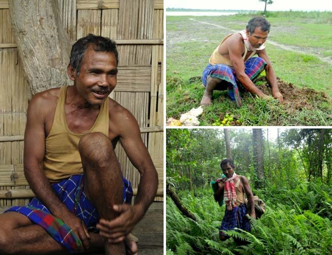 jadav molai payeng