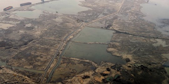 Reklamasi 17 pulau di Utara Jakarta ancam habitat Elang bondol