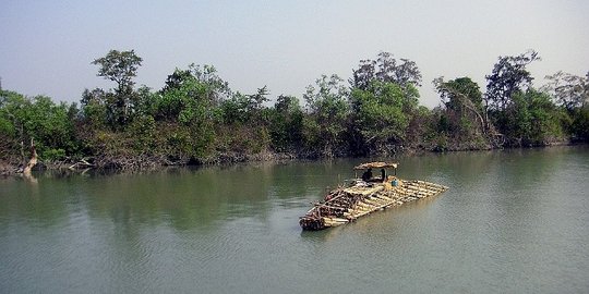 Pulau ini jadi saksi serangan hewan terbrutal dalam rekor Guinness