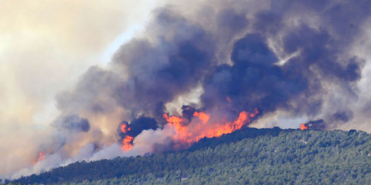Kekeringan, hutan jati milik rakyat di Sukoharjo terbakar