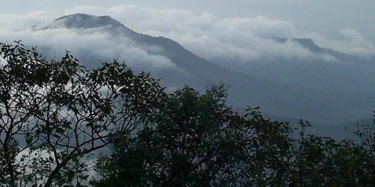 Kebakaran hutan di Gunung Lawu mulai memasuki wilayah Jateng
