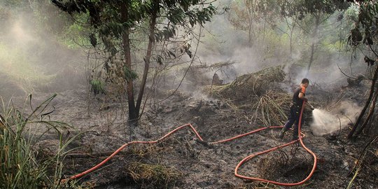 Hutan Gunung Puger di Jember terbakar, pemadaman pakai cara manual
