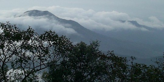 Api masih membara, kebakaran hutan Gunung Lawu meluas