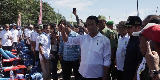 Mentan Amran klaim telah sukses stabilkan harga pangan & tekan impor