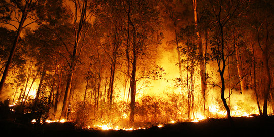 Pemadaman terkendala medan, kebakaran di Gunung Slamet meluas