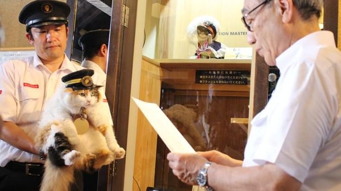 kucing jadi kepala stasiun di jepang