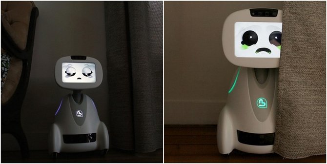 robot buddy