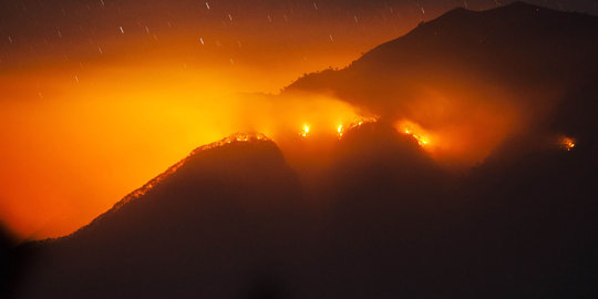 Kebakaran di Gunung Sindoro, 3 pendaki sempat terjebak di tengah api
