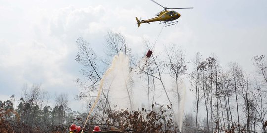 Titik api di Riau bertambah, 3 helikopter dikerahkan untuk bom air