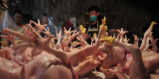 Bukan sapi, daging ayam jadi penyebab utama inflasi Agustus