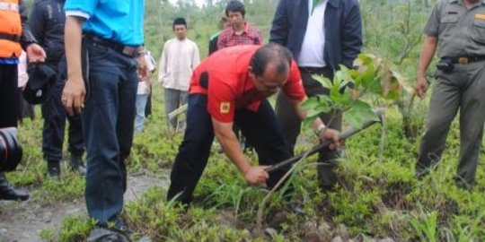 Jakarta Utara makin gersang, ribuan pohon ditanam agar kembali hijau