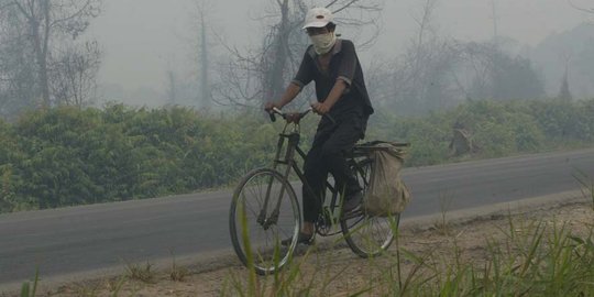 Presiden Jokowi cek lokasi kebakaran hutan di Sumatera Selatan