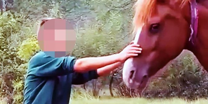 Tak Disangka Hewan Hewan Jinak Ini Sanggup Memotong Penis Manusia