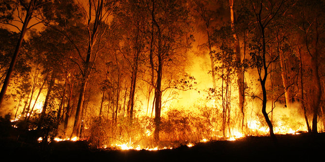 Politisi Demokrat: Kebakaran hutan kriminalitas, harus diberantas!
