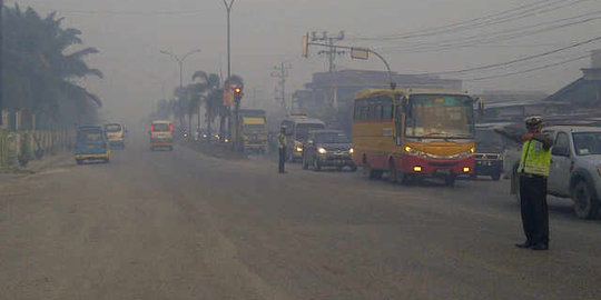 Kabut asap di Riau berasal dari Jambi dan Sumatera Selatan
