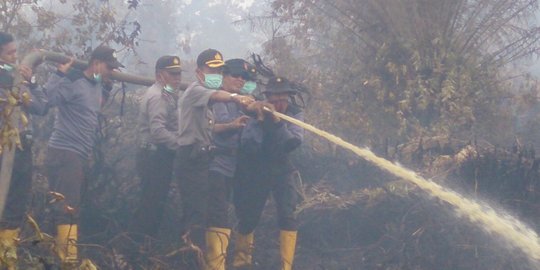 Jadi kepala BNPB, Willem janji segera atasi kebakaran lahan & asap