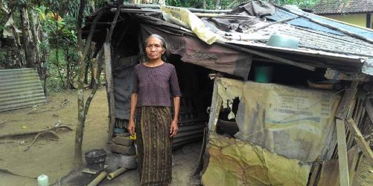 Janda tua di Tabanan ini hidup dalam gubuk bekas kandang kelinci