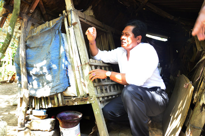 ni nyoman rosni hidup di bekas kandang kelinci