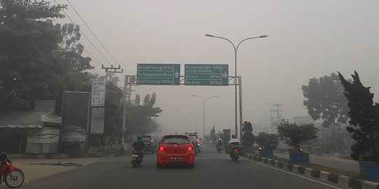 Tekan asap, Jambi minta BPPT kirim alat dan bikin hujan buatan