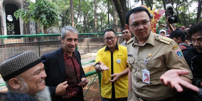 ahok bos lawan 4 besar berita merdeka.com/muhammad Australia luthfi di Ragunan. ©2015 tiba Jerapah ahok bos lawan 4 besar berita merdeka.com/muhammad Australia luthfi di Ragunan. ©2015 tiba Jerapah