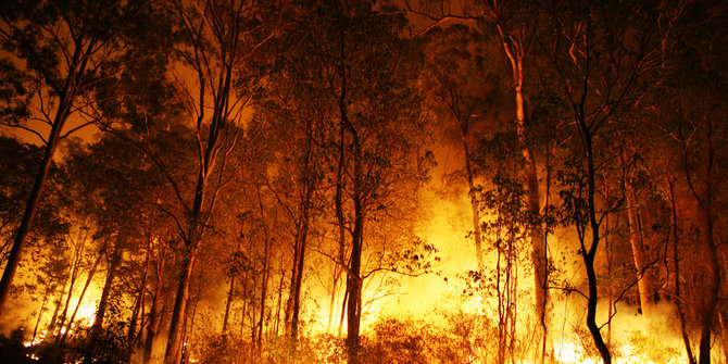 30 Hektare di Puncak Habibie hangus terbakar