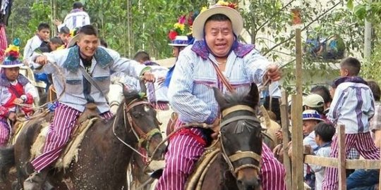 Skach Koyl, kegilaan saat para penunggang teler berlaga di pacuan
