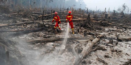32 Petani dan 1 korporasi jadi tersangka kebakaran hutan di Riau