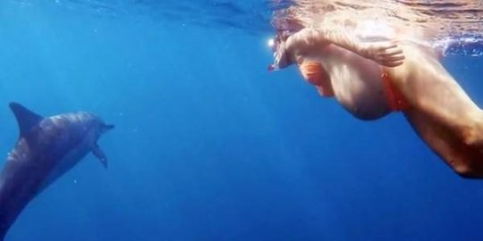 Wanita ini pilih melahirkan di bawah laut bersama lumba-lumba