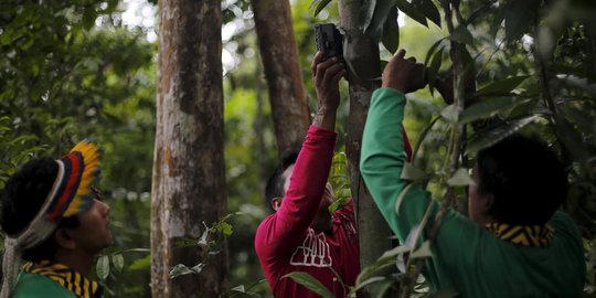 Begini cara canggih Suku Indian lindungi Amazon dari penebang liar